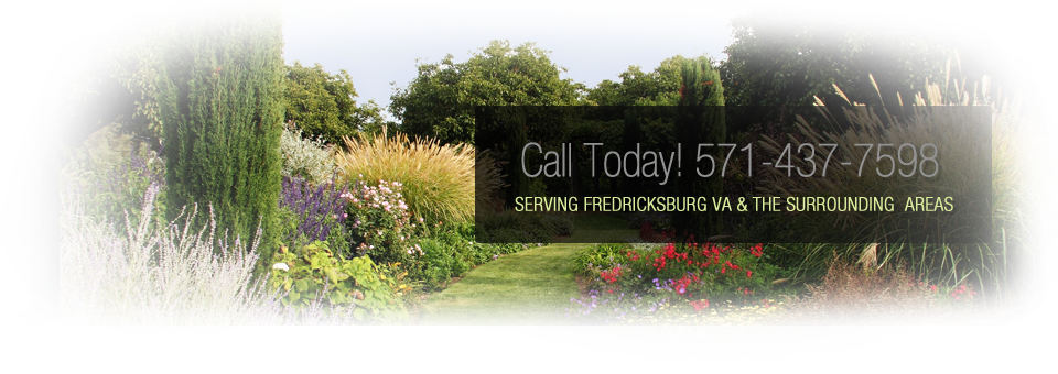 Fredericksburg Landscaping - Slide 6